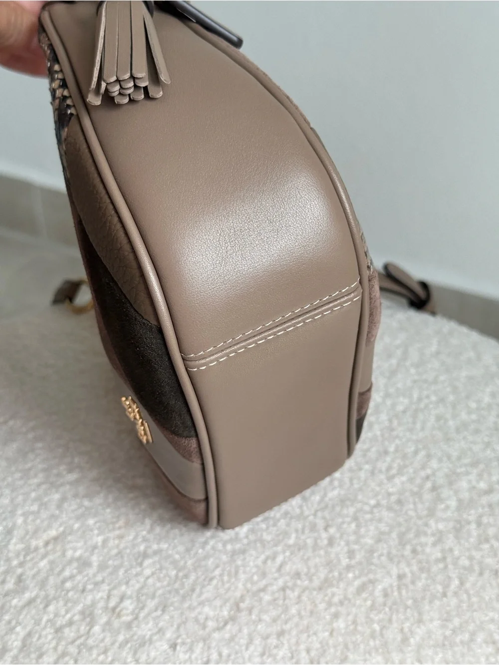 Coach Carmen Mini Crossbody Bag